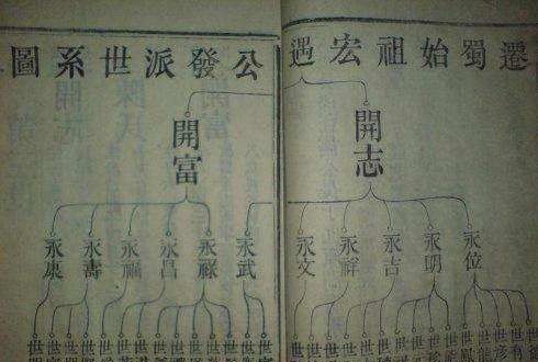 How to write genealogy and family tree, family tree and genealogy production system picture 13