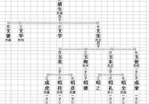 How to write genealogy and family tree, family tree and genealogy production system picture 14