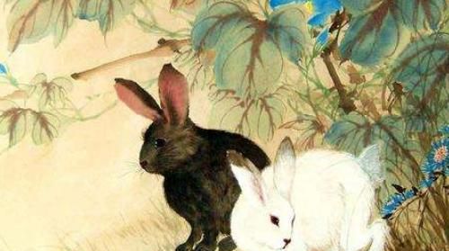 The fortune of people born in the Year of the Rabbit, the fortune chart of the Rabbit zodiac 1