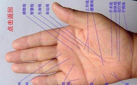 Calculate fortune by looking at palm prints, how to tell fortune by reading palmistry picture 3