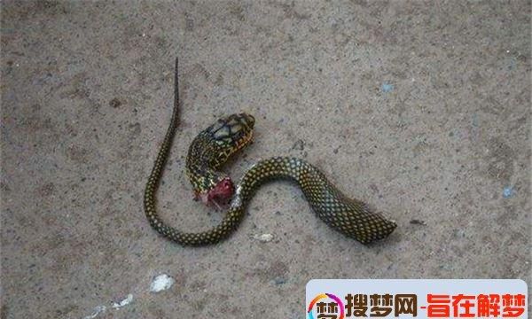 The Duke of Zhou interprets dreams about killing snakes. The Duke of Zhou interprets dreams about killing snakes. Picture 4