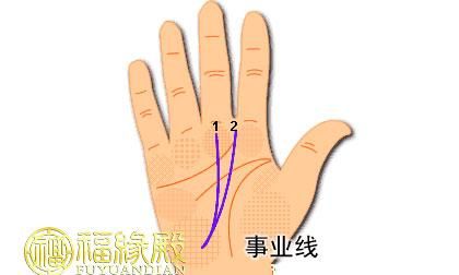 Illustration of the career line of the female left hand, the career line on the palm of the hand should be seen on the left hand or the right hand Figure 2