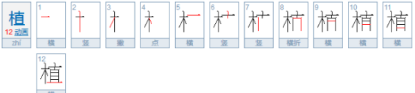 The stroke order of plant, how to write plant picture 5