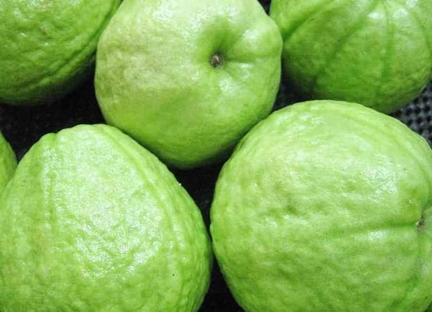 Guava, the efficacy and functions of Lianwu guava, how to eat it Figure 4