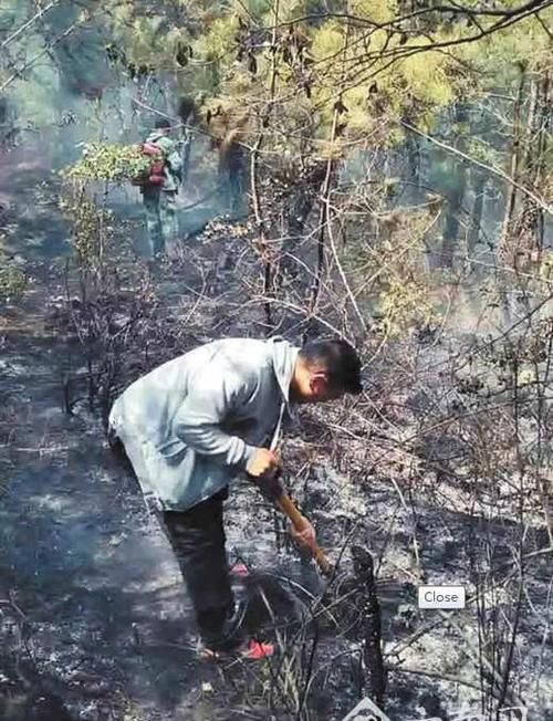 Dreaming about visiting a grave and burning the wrong grave. Dreaming about visiting a grave but burning the wrong grave? What is the meaning of the plot 4