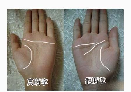 Broken Palm Palmistry Diagram, Palmistry Diagram of a Woman with Broken Hands Figure 4