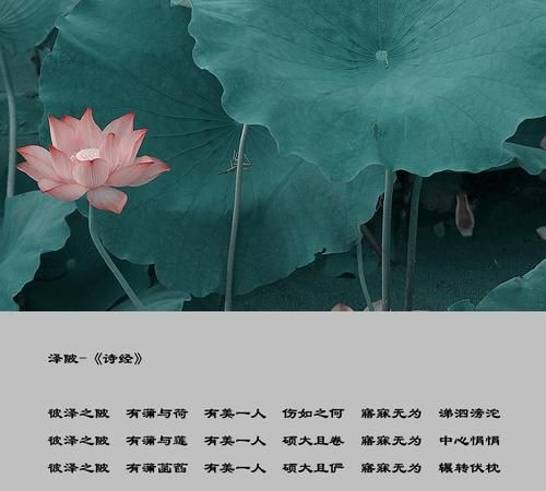 The Book of Songs, Chinese style, what are the classics about Chinese style in the Book of Songs? Picture 3