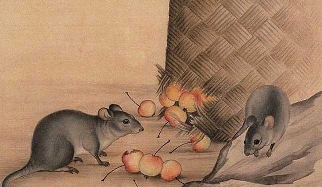 Which zodiac signs are the most compatible with and incompatible with people born in the Year of the Rat? Figure 2