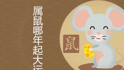 The fortune of people born in the Year of the Ox in the Year of the Rat, the fortune of the Rat and Ox in 2022 Figure 2