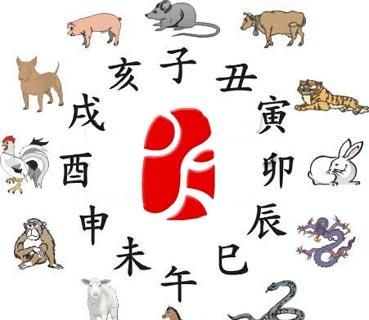 属什么生肖年,属什么生肖最好命图1