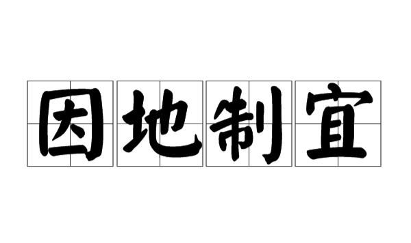 因地制宜什么意思,因地制宜的意思解释图2