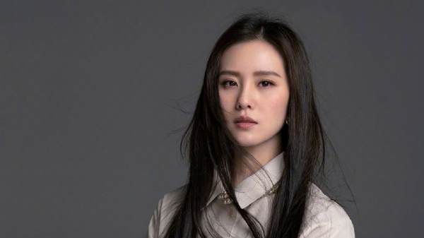 Li Shishi's TV series, Liu Shishi's TV series picture 1