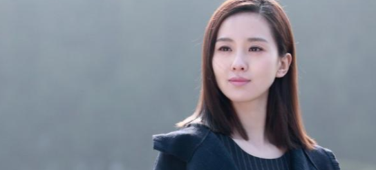 Li Shishi's TV series, Liu Shishi's TV series picture 6