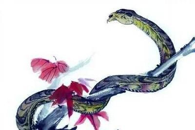 The fortune of people born in the year of Snake. What is the fortune of people born in the year of Snake? Picture 4