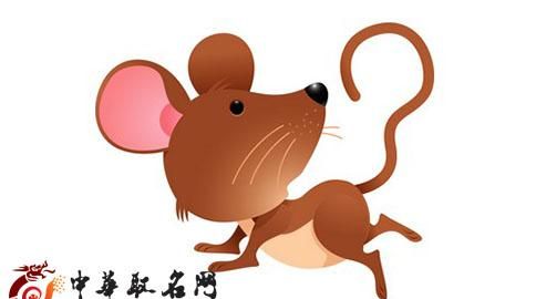 How old are people born in the Year of the Rat this year? How old are people born in the Year of the Rat in 2022? Picture 4