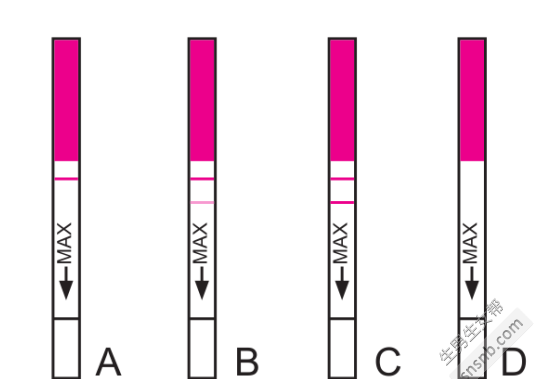 Is the test paper for testing boys and girls accurate? Figure 1