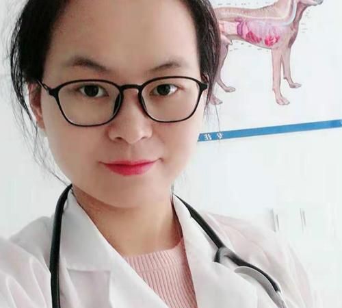 Personal profile of pet doctor Ye Anqi, after reading "The Laughing Cat Diary", about 300 words, Picture 1