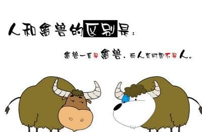 Funny qq signatures, 50 interesting and humorous qq personality funny signature short sentences picture 1