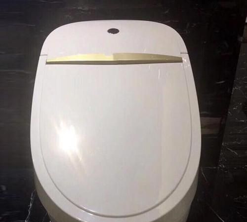 bravat smart toilet after-sales service phone number, Deshton smart toilet after-sales service phone number Figure 1