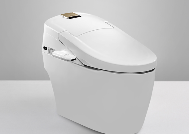 bravat smart toilet after-sales service phone number, Deshton smart toilet after-sales service phone number Figure 4