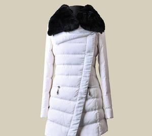 Yishengyuan down jacket price, my good partner essay 450 words written picture 1