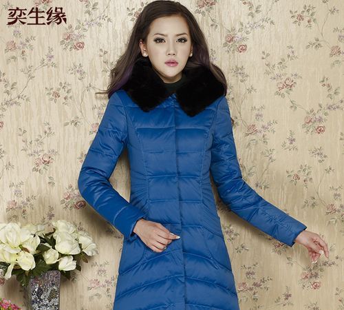 Yishengyuan down jacket price, my good partner essay 450 words written picture 3