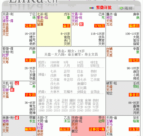 Zi Wei Dou Shu horoscope inquiry, how to read the Zi Wei Dou Shu horoscope? What should you look at first? Figure 1