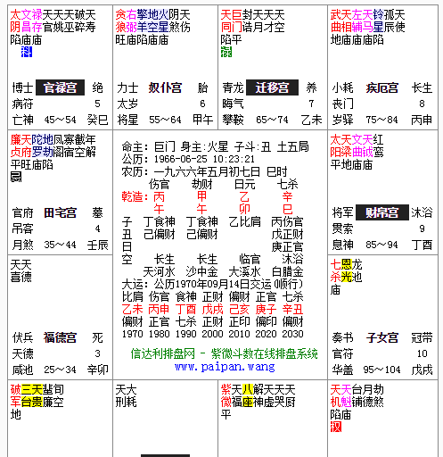 Zi Wei Dou Shu horoscope inquiry, how to read the Zi Wei Dou Shu horoscope? What should you look at first? Figure 3