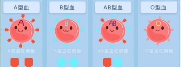 Blood type A and blood type O. What is the blood type of a child born from type A blood and type O blood? Figure 4