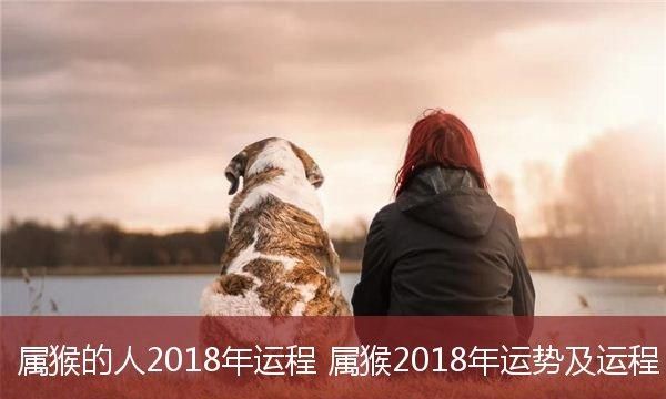 狗年出生的人运势及运程,属狗人运势运程每月运程图4