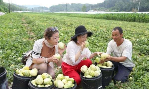 Zhao Chenyang's wedding pictures, what is the name Zhao Junyang like? Picture 10