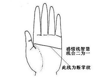 Pictures of hand lines and broken palm lines, complete collection of hand lines diagrams for women 4