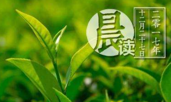 High-end tea brand ranking list, China's best tea brand ranking list 2022 Figure 14