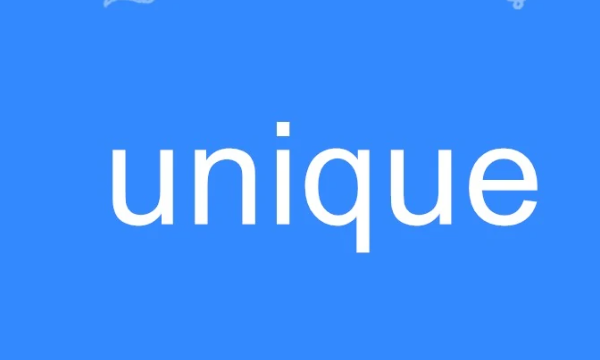 unique是什么意思,unique是什么意思图1