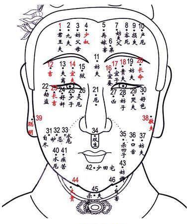 面相图解大全,女人面相嘴巴看相大全图5