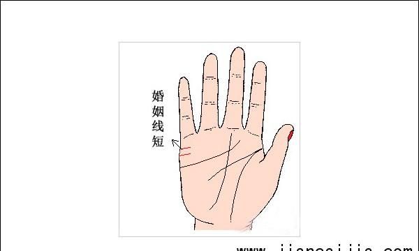 Palmistry diagram for marriage line, second marriage palmistry diagram for marriage line female picture 4