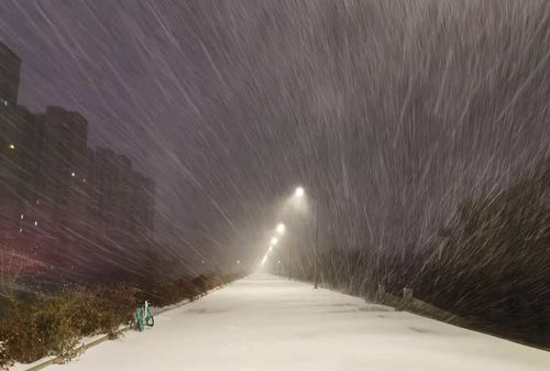 梦见大雪纷飞什么意思,梦见大雪纷飞预示着什么图4