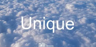 unique什么意思,unique是什么意思图1