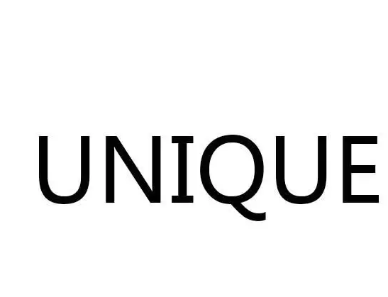 What does unique mean? What does unique mean? Figure 3