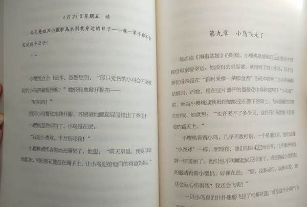 何真宗燕湾院子,《展翅》鲁冰读后感500字图2