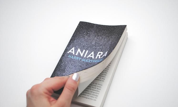 aniara, "Aniara" Figure 3