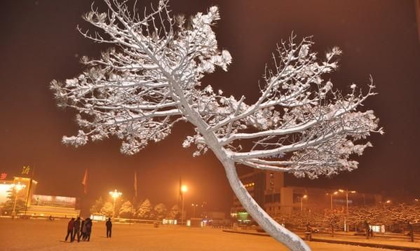 2月28日,农历6月28号出生的是什么星座图3