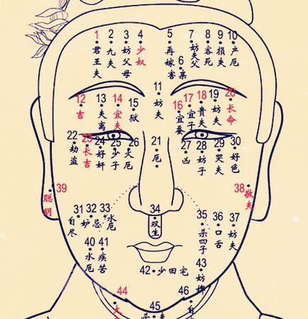 A diagram of a woman's moles, the top ten lucky moles, a diagram of a woman's moles, the top ten lucky moles Picture 2