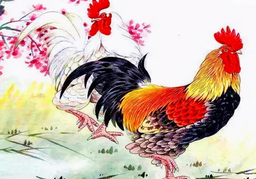 How old is the Rooster this year? How old is the Rooster in 2022? Picture 3