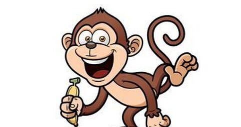 How old is the monkey in this year? How old is the monkey in this year? Picture 2