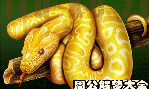 Dream Interpretation Encyclopedia Dreaming about snakes, what does it mean to dream about snakes? Cheese Answer Picture 6