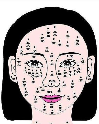 Illustration of moles on women's faces, Illustrations of moles on women's faces, Physiogram 7