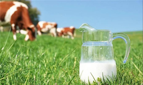 Ranking of the best pure milk in China, Ranking of the best pure milk in China Figure 12