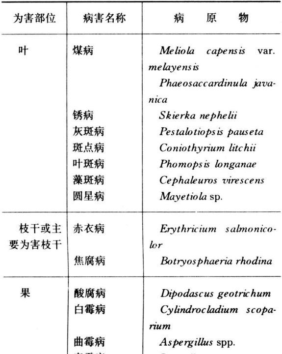 coryne,八千代和乙女心的区别图片图5