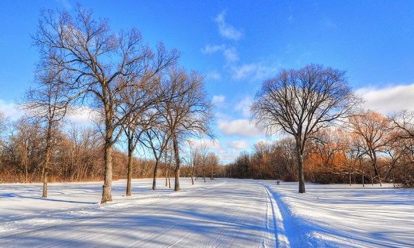 Short sentences about early winter are beautiful, short sentences about early winter are beautiful and short, a selection of 47 sentences, picture 4